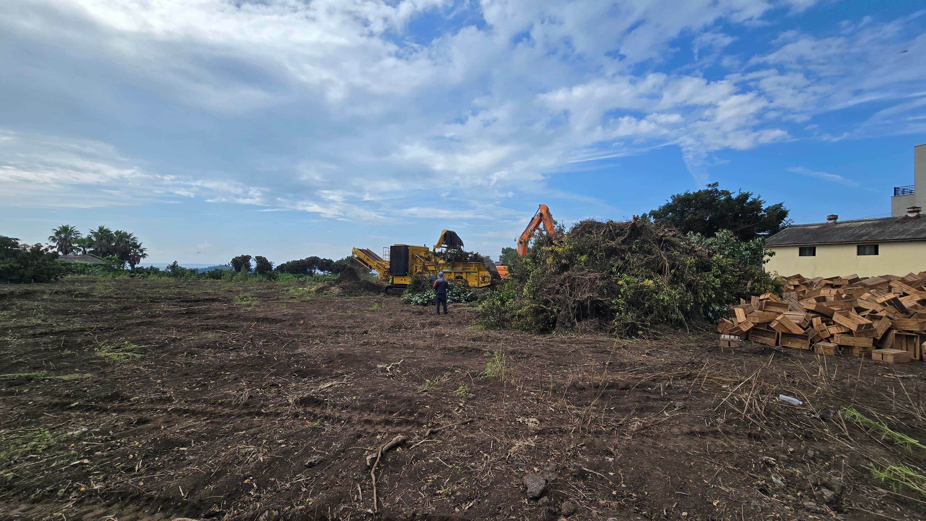 벌목 및 대형파쇄 작업 사진 1
